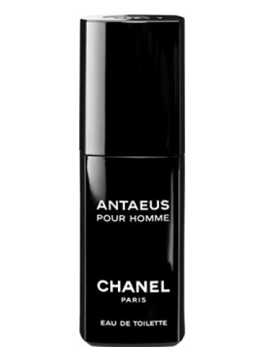 chanel antaeus fragrantica